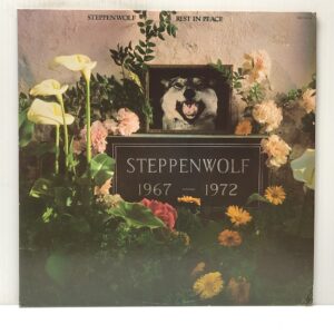 Rest In Peace (USED LP)