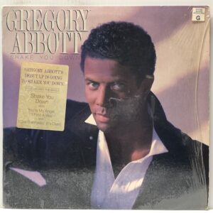 Shake You Down (USED LP)
