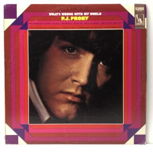 Whats Wrong With My World (USED LP)