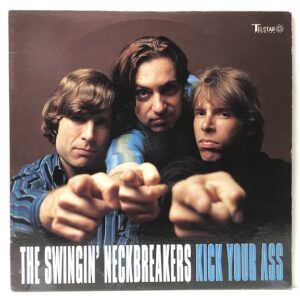 Kick Your Ass (USED LP)