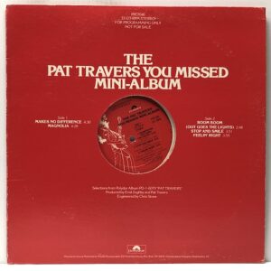 You Missed Mini Album (USED LP)