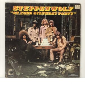 At Your Birthday Party (USED LP)