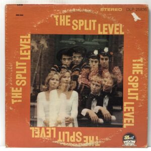 Split Level (USED LP)