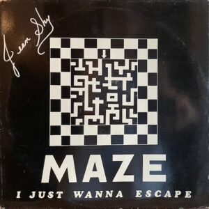 Maze I Just Wanna Escape