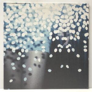 Slow Waves (USED LP)