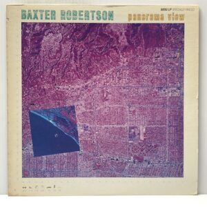 Panorama View (USED LP)