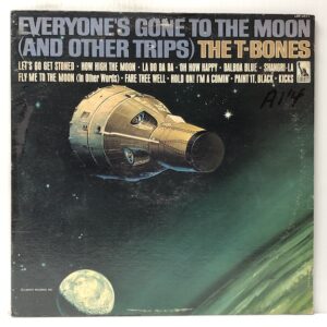 Everyones Gone to the Moon and Other Trips