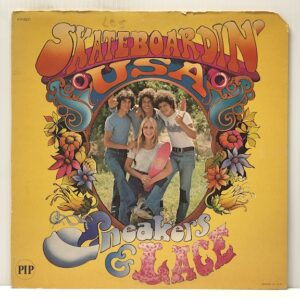 Skateboardin USA (USED LP)