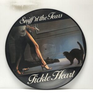 Fickle Heart picture disc (USED LP)