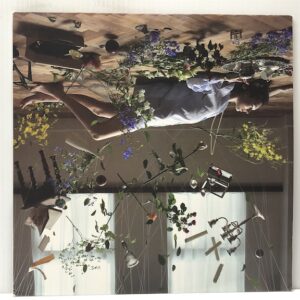 Soft Fall (USED LP)