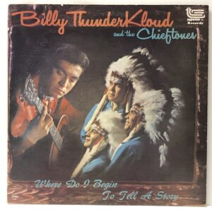 Where Do I Begin to Tell a Story (USED LP)