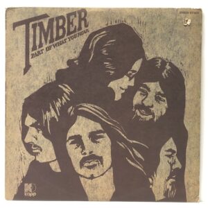Part of What You Hear (USED LP)