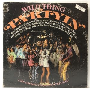 Partyin (USED LP)