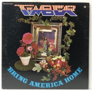 Bring America Home (USED LP)