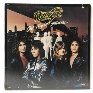 One Night Stands (USED LP)