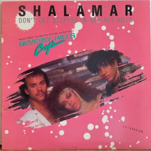 Dont Get Stopped in Beverly Hills (USED LP)