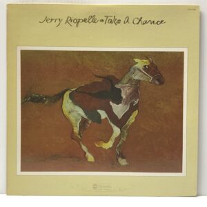 Take a Chance (USED LP)