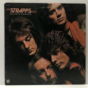 Secret Damage (USED LP)