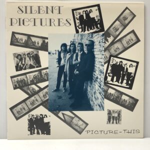 Picture This (USED LP)