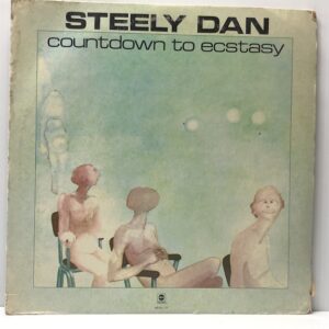 Countdown to Ecstasy (USED LP)