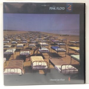 Momentary Lapse of Reason (USED LP)
