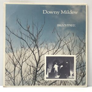 Broomtree (USED LP)