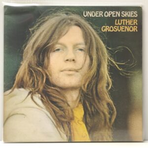 Under Open Skies (USED LP)