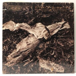 Plight & Premonition (USED LP)