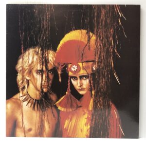 Feast (USED LP)