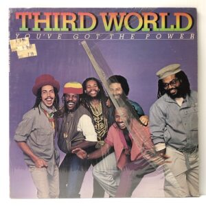 Youve Got The Power (USED LP)