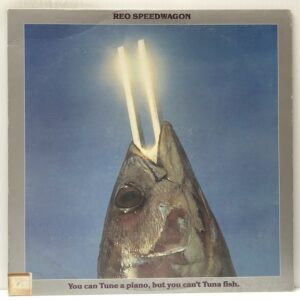 You Can Tune a Piano But You Cant Tune A Fish