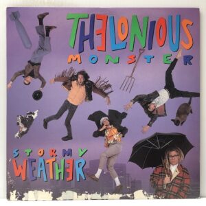 Stormy Weather (USED LP)