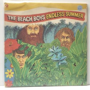 Endless Summer (USED LP)