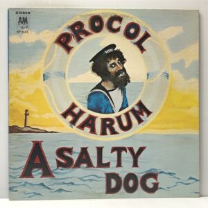 Salty Dog (USED LP)