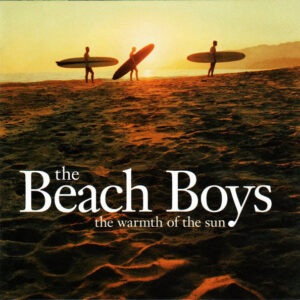 WARMTH OF THE SUN (CD)
