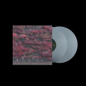 Even In Arcadia (New LP)