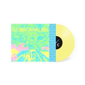 Trying Not to Have a Thought (New LP)