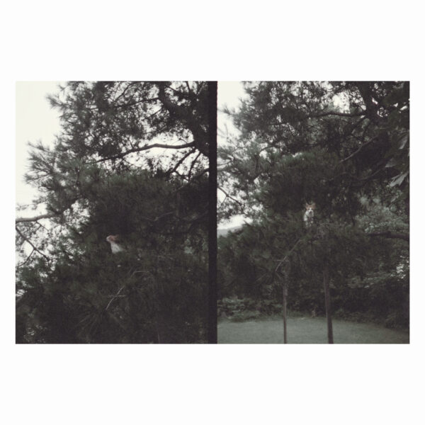 just like any other day : background music for you