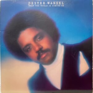 What The World Is Coming To (USED LP)