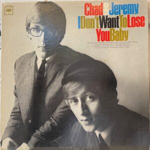 I Dont Want To Lose You Baby (USED LP)