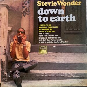 Down To Earth (USED LP)