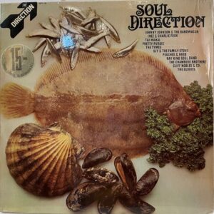 Soul Direction