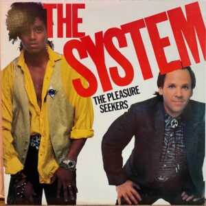 Pleasure Seekers (USED LP)