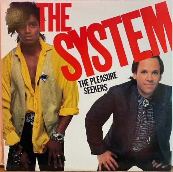 Pleasure Seekers (USED LP)