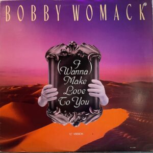 I Wanna Make Love to You (USED LP)