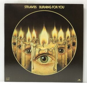 Burning For You (USED LP)