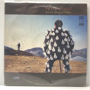 Delicate Sound of Thunder (USED LP)