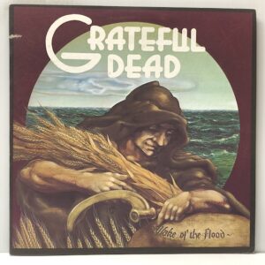 Wake of the Flood (USED LP)