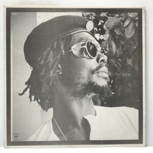 Get Up Stand Up (USED LP)
