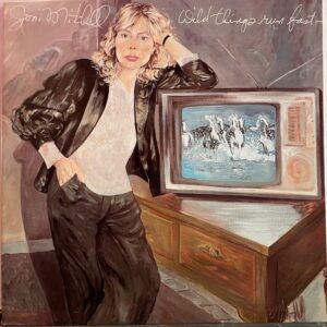 Wild Things Run Fast (USED LP)